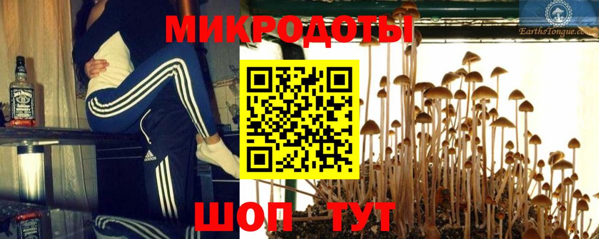 Псилоцибиновые грибы мухоморы Выборг