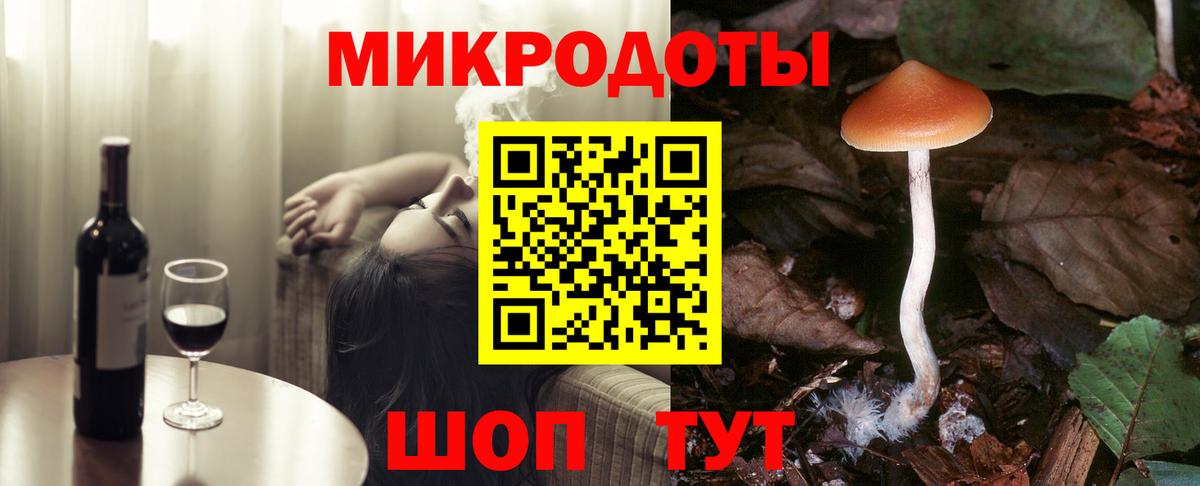 Выборг  Галлюциногенные грибы Cubensis  Вход с VPN 