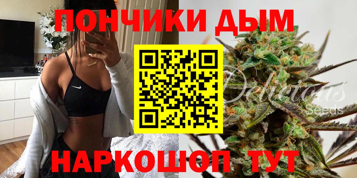 Каннабис сатива  Бошки марихуана конопля  Выборг  Вход с VPN  Канабис сатива 